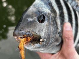 Inshore Fishing Trip