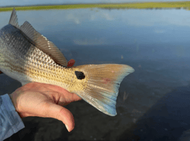 Inshore Fishing Trip