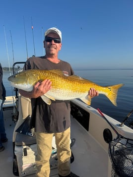 Trophy Drum Fishing