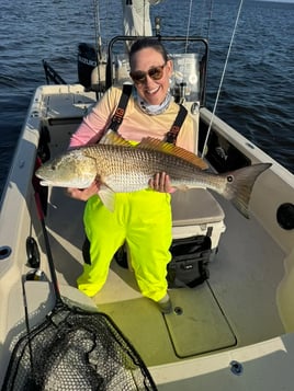 Trophy Drum Fishing