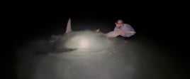 LAND BASED SHARK FISHING