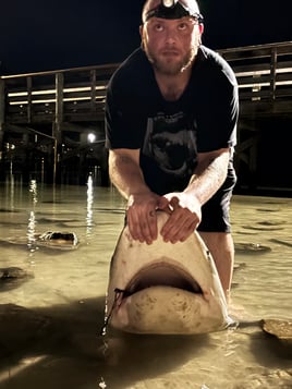 LAND BASED SHARK FISHING