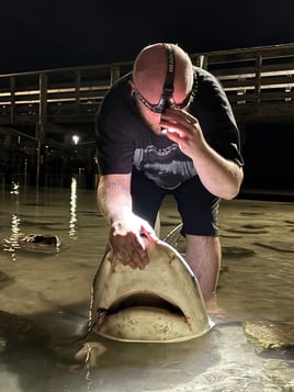 LAND BASED SHARK FISHING