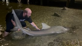 LAND BASED SHARK FISHING