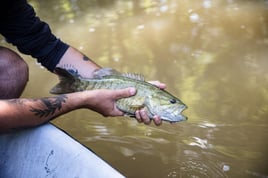 Fly Fishing Indiana's White River
