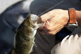 Fly Fishing Indiana's White River