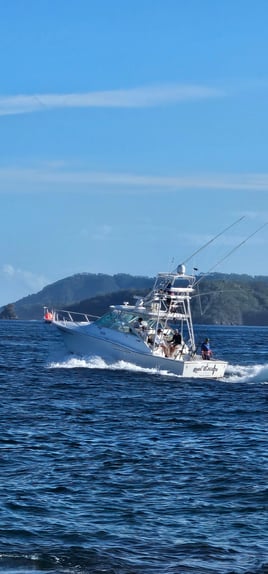 Reel Escape Sport Fishing