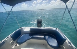 22' Bahamas Island Adventure