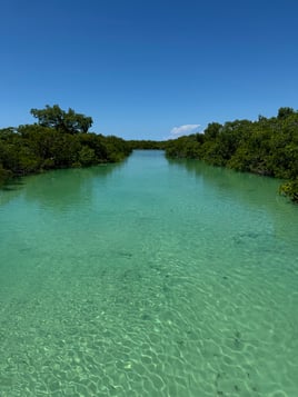 Sandbar Excursion 