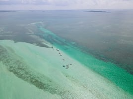 Sandbar Excursion 