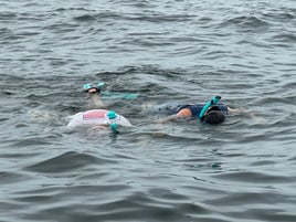 Epic Scalloping Adventures