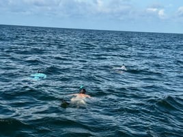 Epic Scalloping Adventures