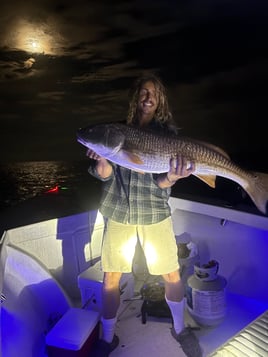 Bull Red Drum Fishing Trip