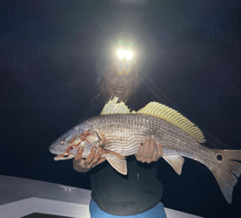 Bull Red Drum Fishing Trip