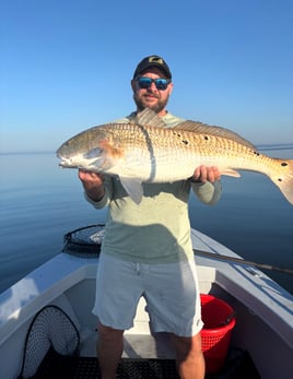 Bull Red Drum Fishing Trip