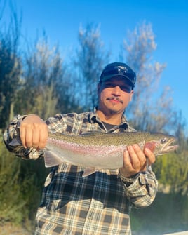 Salmon/Steelhead Combo