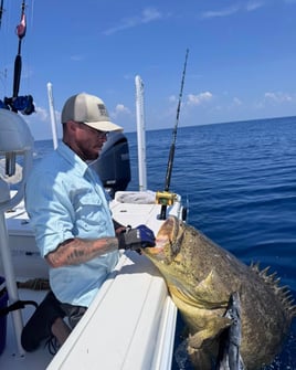 Sharks / Goliath Grouper