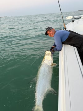 Tarpon Fishing