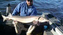 Sturgeon Trips