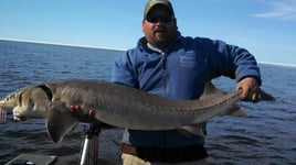 Sturgeon Trips