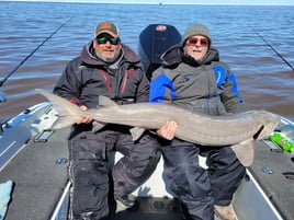 Sturgeon Trips