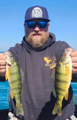Fall Perch