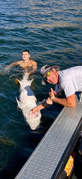 Oversized Sturgeon