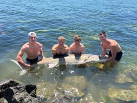 Oversized Sturgeon