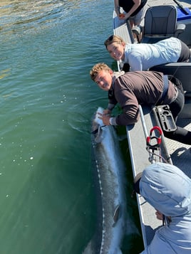 Oversized Sturgeon