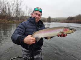 Salmon & Steelhead