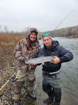 Salmon & Steelhead