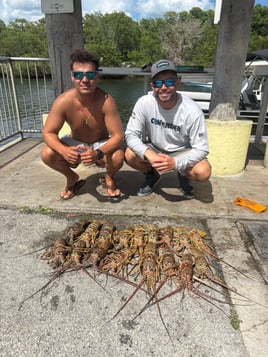 Lobster Trip