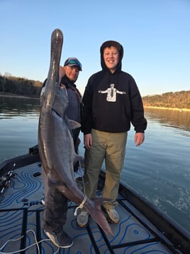 Paddlefish 