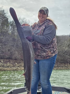 Paddlefish 