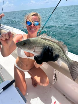 Deep Sea Fishing
