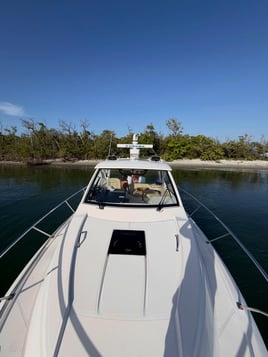 Sightseeing Cruise