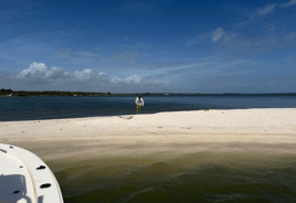 Sandbar Charter