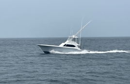 Nearshore Trip