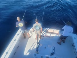 Full Day Trip – Offshore
