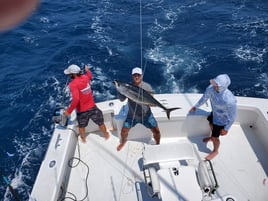 Full Day Trip – Offshore