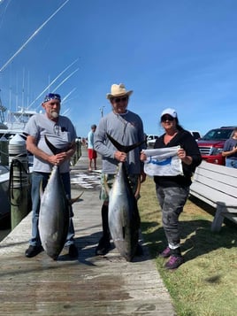 Full Day Trip – Offshore