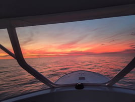 Full Day Trip – Offshore