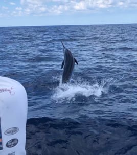 Full Day Trip – Offshore