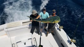 Full Day Trip – Offshore