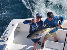 Full Day Trip – Offshore