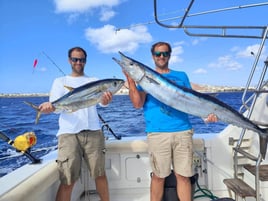 Blue Marlin Trip In Canary Ilsnad