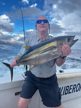 Blue Marlin Trip In Canary Ilsnad