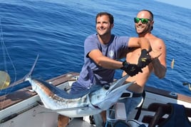 Blue Marlin Trip In Canary Ilsnad