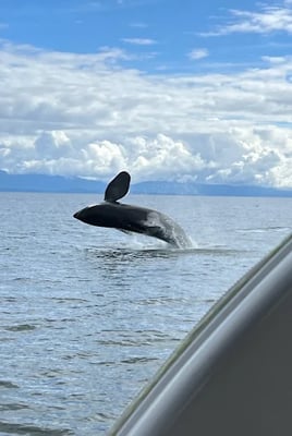 Salish Sea Salmon Fishing