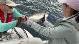 Salish Sea Salmon Fishing